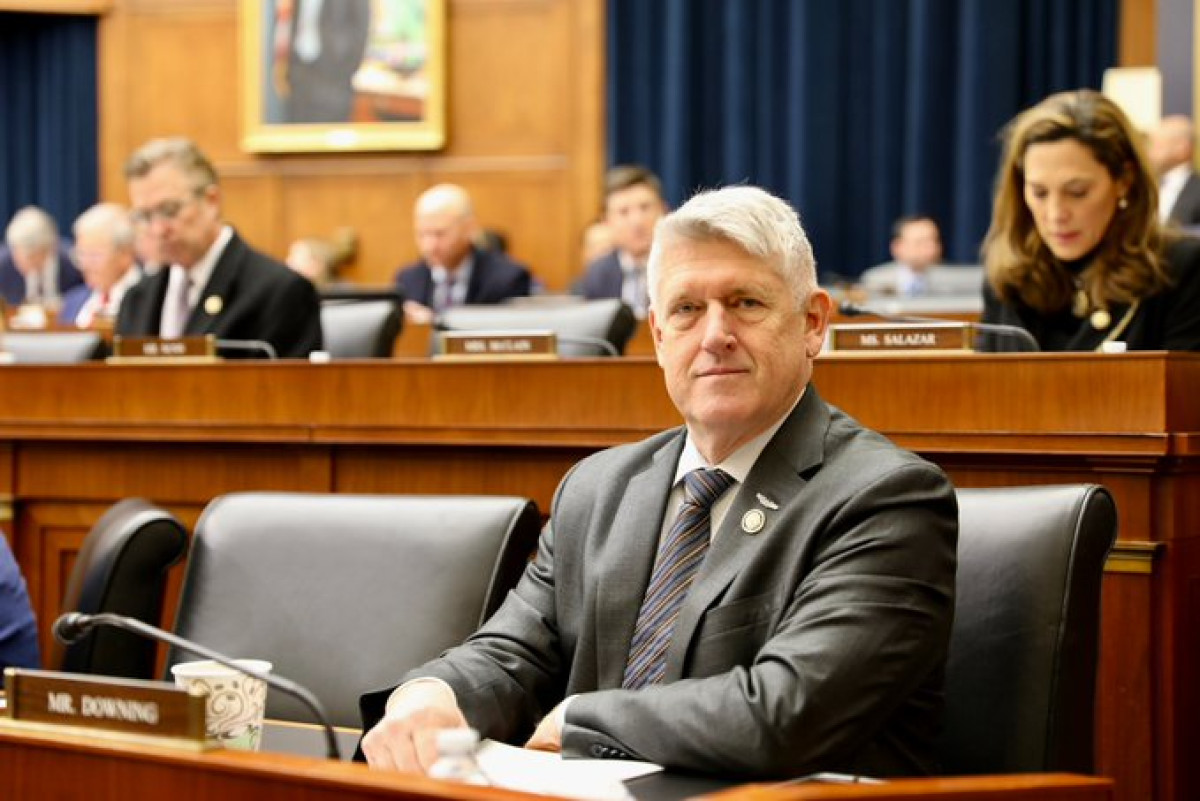 Rep. Downing in Committee